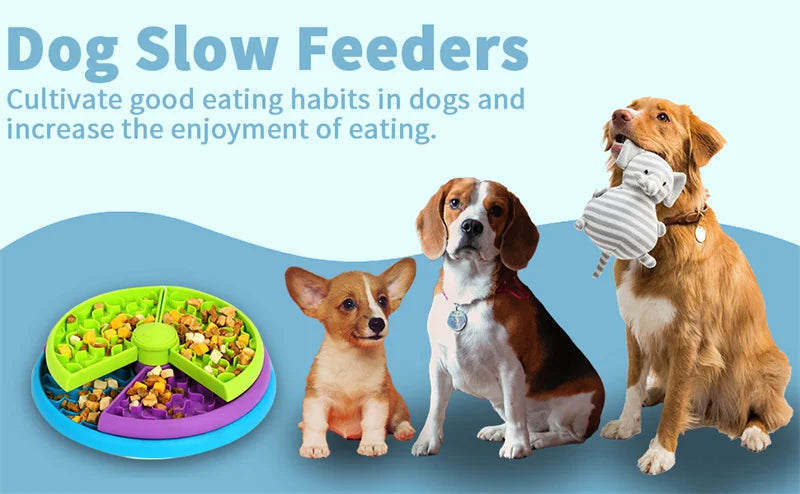 The Science Behind Slow Eating: How It Benefits Your Pet’s Health