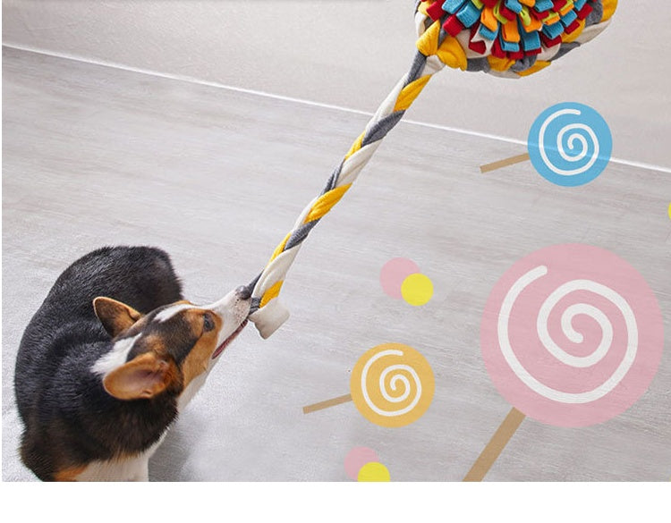 Dog Candy Sniffing Training Pad