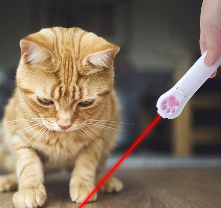 Cat Claw Laser Stick toy